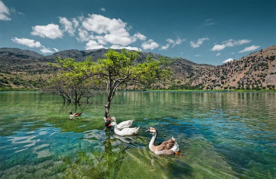 Lac Kournas